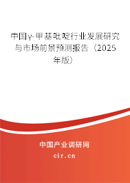 中國(guó)γ-甲基吡啶行業(yè)發(fā)展研究與市場(chǎng)前景預(yù)測(cè)報(bào)告（2025年版）