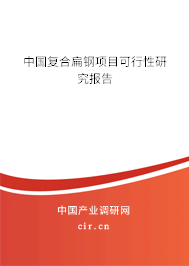 中國復(fù)合扁鋼項目可行性研究報告