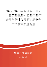 2022-2028年全球與中國2-（叔丁基氨基）乙基甲基丙烯酸酯行業(yè)發(fā)展研究分析與市場前景預(yù)測報告
