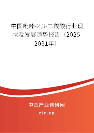 中國吡嗪-2,3-二羧酸行業(yè)現(xiàn)狀及發(fā)展趨勢報告（2025-2031年）
