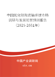 中國氮化硅陶瓷軸承球市場調(diào)研與發(fā)展前景預(yù)測報告（2025-2031年）