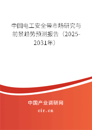 中國(guó)電工安全帶市場(chǎng)研究與前景趨勢(shì)預(yù)測(cè)報(bào)告（2025-2031年）