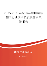2025-2031年全球與中國電泳加工行業(yè)調研及發(fā)展前景預測報告 2025-2031年全球與中國電泳加工行業(yè)調研及發(fā)展前景預測報告