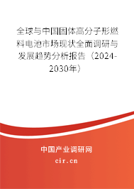 全球與中國固體高分子形燃料電池市場現(xiàn)狀全面調(diào)研與發(fā)展趨勢分析報告（2024-2030年）