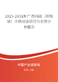 2025-2031年廣西純堿（碳酸鈉）市場調(diào)查研究與前景分析報告