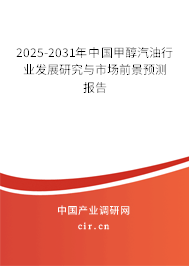 2025-2031年中國甲醇汽油行業(yè)發(fā)展研究與市場前景預測報告