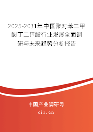 2025-2031年中國聚對(duì)苯二甲酸丁二醇酯行業(yè)發(fā)展全面調(diào)研與未來趨勢(shì)分析報(bào)告