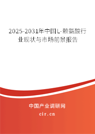 2025-2031年中國L-賴氨酸行業(yè)現(xiàn)狀與市場前景報告