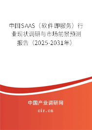 中國(guó)SAAS（軟件即服務(wù)）行業(yè)現(xiàn)狀調(diào)研與市場(chǎng)前景預(yù)測(cè)報(bào)告（2025-2031年）