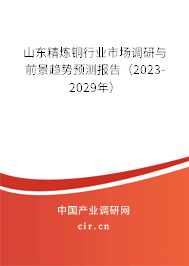 山東精煉銅行業(yè)市場調(diào)研與前景趨勢預(yù)測報告（2023-2029年）
