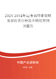 2025-2031年山東省物業(yè)管理發(fā)展現(xiàn)狀分析及市場前景預(yù)測報告