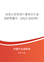 陜西大型型鋼行業(yè)研究與發(fā)展趨勢報告（2023-2029年）