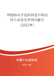 中國微電子組件制造市場調(diào)研與發(fā)展前景預(yù)測報(bào)告（2025年）