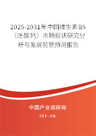 2025-2031年中國維生素B5（泛酸鈣）市場現(xiàn)狀研究分析與發(fā)展前景預測報告