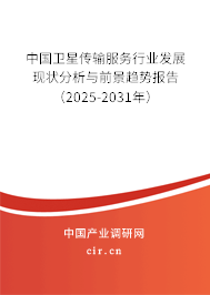 中國(guó)衛(wèi)星傳輸服務(wù)行業(yè)發(fā)展現(xiàn)狀分析與前景趨勢(shì)報(bào)告（2025-2031年）