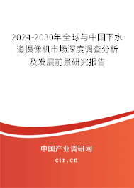 2024-2030年全球與中國下水道攝像機(jī)市場深度調(diào)查分析及發(fā)展前景研究報告