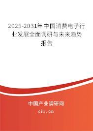 2025-2031年中國(guó)消費(fèi)電子行業(yè)發(fā)展全面調(diào)研與未來(lái)趨勢(shì)報(bào)告