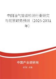 中國油氣管道檢測行業(yè)研究與前景趨勢預測（2025-2031年）