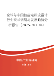 全球與中國(guó)智能電磁流量計(jì)行業(yè)現(xiàn)狀調(diào)研與發(fā)展趨勢(shì)分析報(bào)告（2025-2031年）