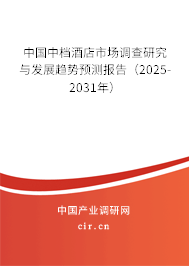 中國(guó)中檔酒店市場(chǎng)調(diào)查研究與發(fā)展趨勢(shì)預(yù)測(cè)報(bào)告（2025-2031年）