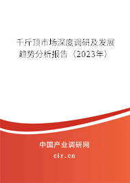 千斤頂市場深度調研及發(fā)展趨勢分析報告（2023年）