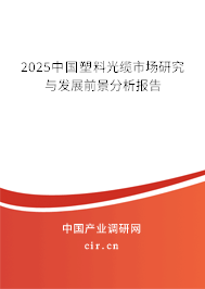 2025中國(guó)塑料光纜市場(chǎng)研究與發(fā)展前景分析報(bào)告