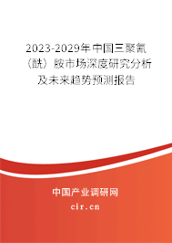 2023-2029年中國(guó)三聚氰（酰）胺市場(chǎng)深度研究分析及未來趨勢(shì)預(yù)測(cè)報(bào)告