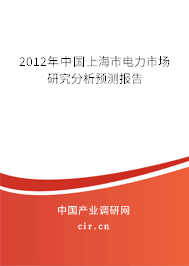 2012年中國(guó)上海市電力市場(chǎng)研究分析預(yù)測(cè)報(bào)告 2012年中國(guó)上海市電力市場(chǎng)研究分析預(yù)測(cè)報(bào)告