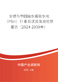全球與中國(guó)抽水蓄能水電（PSH）行業(yè)現(xiàn)狀及發(fā)展前景報(bào)告（2024-2030年）