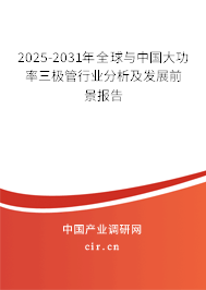 2025-2031年全球與中國大功率三極管行業(yè)分析及發(fā)展前景報告 2025-2031年全球與中國大功率三極管行業(yè)分析及發(fā)展前景報告