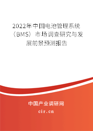 2022年中國(guó)電池管理系統(tǒng)（BMS）市場(chǎng)調(diào)查研究與發(fā)展前景預(yù)測(cè)報(bào)告