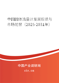 中國固體流量計(jì)發(fā)展現(xiàn)狀與市場(chǎng)前景（2025-2031年）