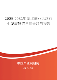 2025-2031年湖北商業(yè)運(yùn)營(yíng)行業(yè)發(fā)展研究與前景趨勢(shì)報(bào)告