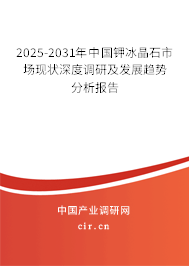 2025-2031年中國鉀冰晶石市場現狀深度調研及發(fā)展趨勢分析報告