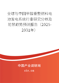 全球與中國甲醇重整燃料電池發(fā)電系統(tǒng)行業(yè)研究分析及前景趨勢預(yù)測報告（2025-2031年）