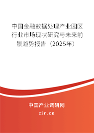 中國金融數(shù)據(jù)處理產(chǎn)業(yè)園區(qū)行業(yè)市場現(xiàn)狀研究與未來前景趨勢報告（2025年）