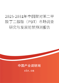 2025-2031年中國聚對(duì)苯二甲酸丁二醇酯（PBT）市場(chǎng)調(diào)查研究與發(fā)展前景預(yù)測(cè)報(bào)告