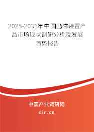 2025-2031年中國勵(lì)磁裝置產(chǎn)品市場(chǎng)現(xiàn)狀調(diào)研分析及發(fā)展趨勢(shì)報(bào)告