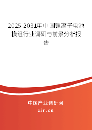 2025-2031年中國鋰離子電池模組行業(yè)調(diào)研與前景分析報告