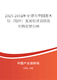 2025-2031年全球與中國魔術(shù)貼（鉤環(huán)）發(fā)展現(xiàn)狀調(diào)研及市場(chǎng)前景分析