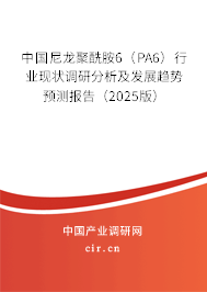 中國(guó)尼龍聚酰胺6（PA6）行業(yè)現(xiàn)狀調(diào)研分析及發(fā)展趨勢(shì)預(yù)測(cè)報(bào)告（2025版）