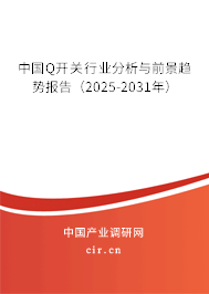 中國Q開關(guān)行業(yè)分析與前景趨勢報(bào)告（2025-2031年）