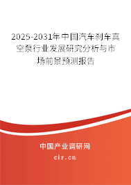 2024-2030年中國汽車剎車真空泵行業(yè)發(fā)展研究分析與市場前景預測報告