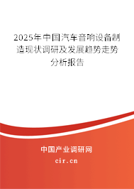 2025年中國汽車音響設備制造現(xiàn)狀調(diào)研及發(fā)展趨勢走勢分析報告