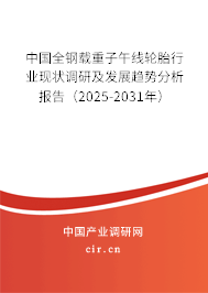 中國全鋼載重子午線輪胎行業(yè)現狀調研及發(fā)展趨勢分析報告（2025-2031年）