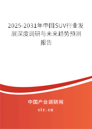 2025-2031年中國SUV行業(yè)發(fā)展深度調(diào)研與未來趨勢預(yù)測報告