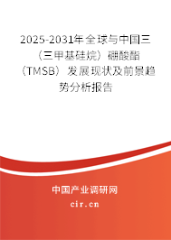 2025-2031年全球與中國三（三甲基硅烷）硼酸酯（TMSB）發(fā)展現(xiàn)狀及前景趨勢(shì)分析報(bào)告