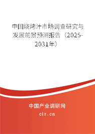 中國燒烤汁市場調查研究與發(fā)展前景預測報告(2025-2031年) 中國燒烤汁市場調查研究與發(fā)展前景預測報告(2025-2031年)