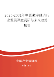 2025-2031年中國數(shù)字經(jīng)濟(jì)行業(yè)發(fā)展深度調(diào)研與未來趨勢報告
