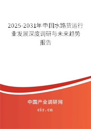 2025-2031年中國水路貨運(yùn)行業(yè)發(fā)展深度調(diào)研與未來趨勢報告